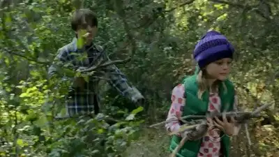 Into the Woods