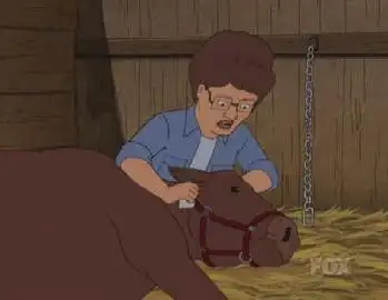 A Rover Runs Through It