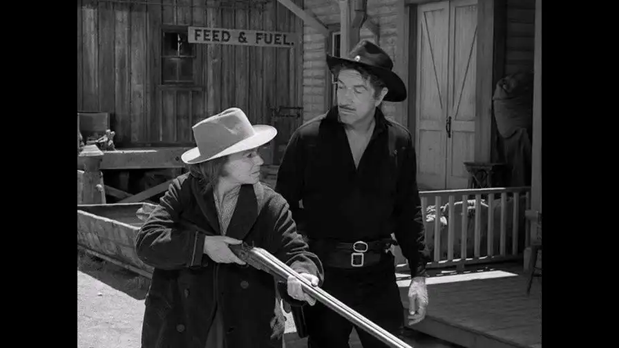 The Tender Gun