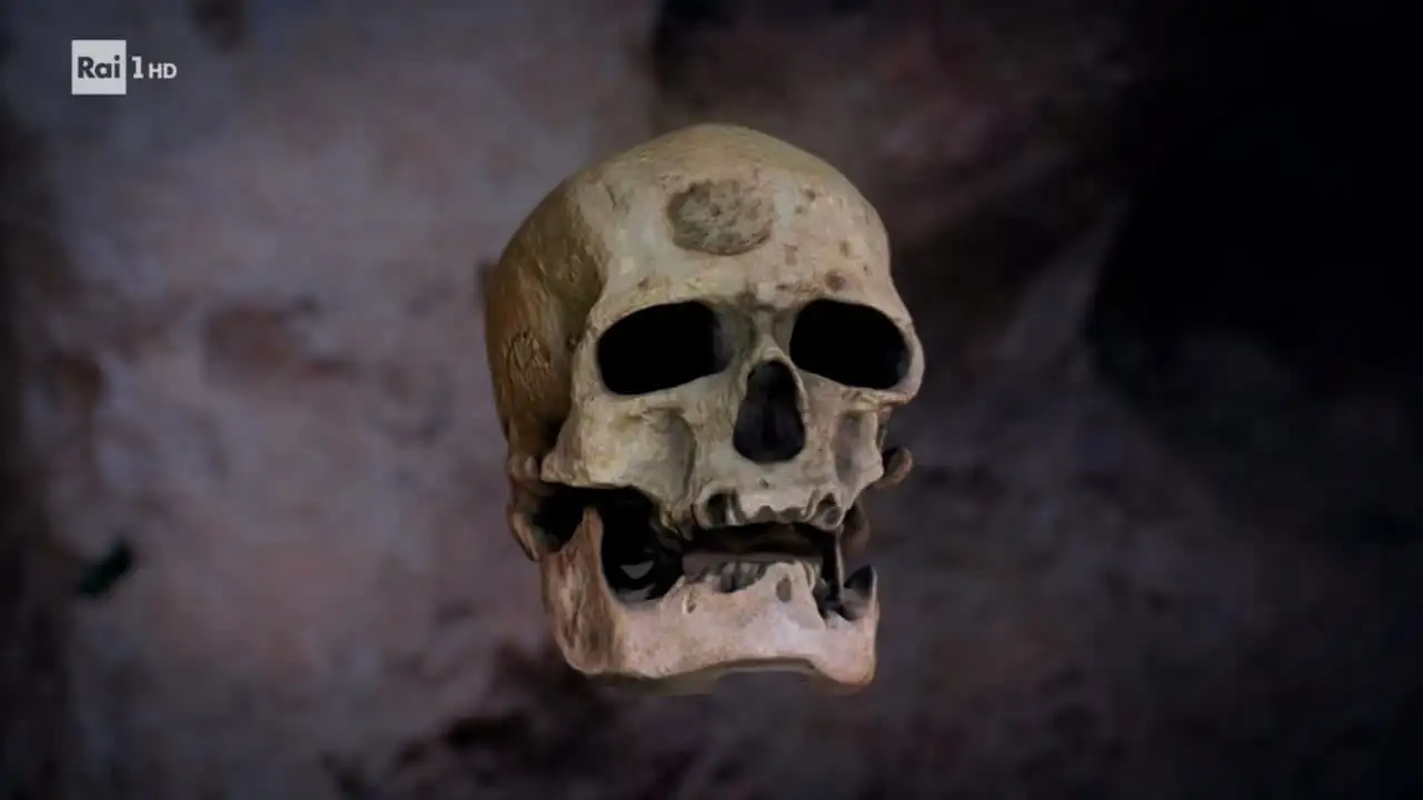 Neanderthals - The Enigma of Their Disappearance