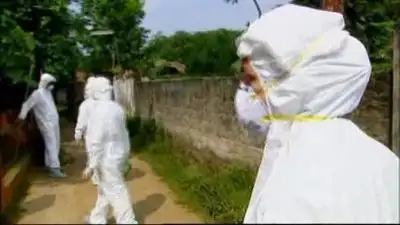 Pandemic