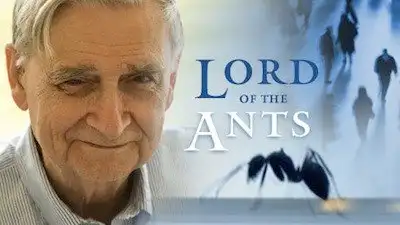 Lord of the Ants