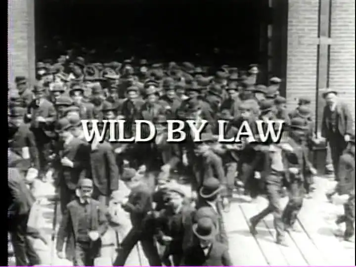 Wild by Law