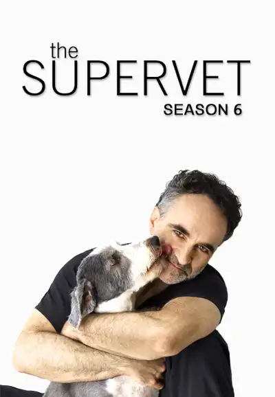 Season 6