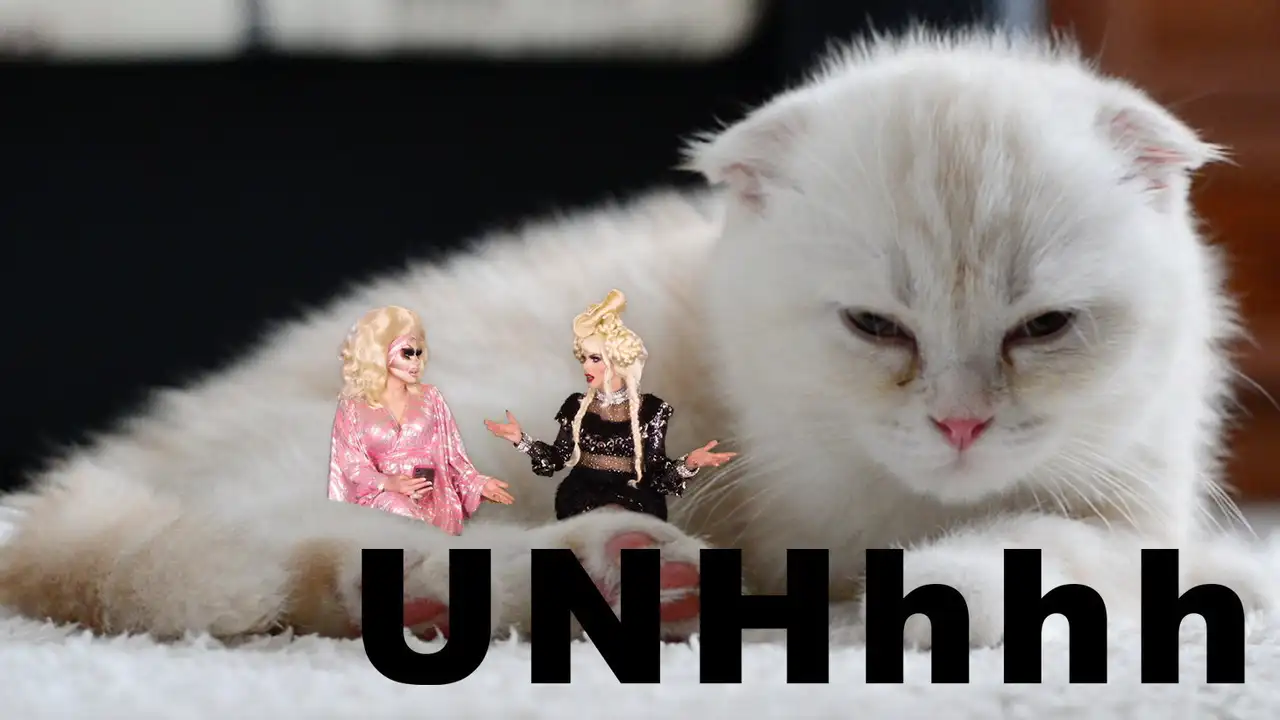 Astrology Part 1: Katya's Taurus Truth