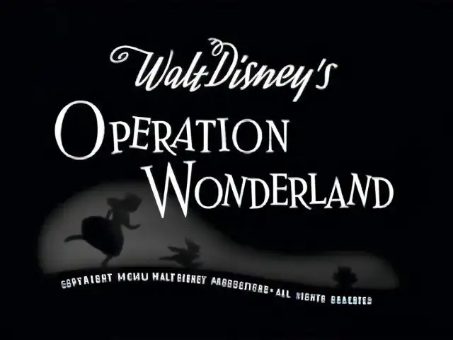 Operation Wonderland