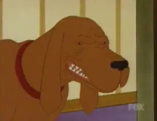 Racist Dawg