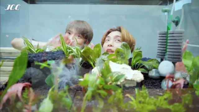 We Made It! Neo Zone Fish Tank with TY 🐠🌿