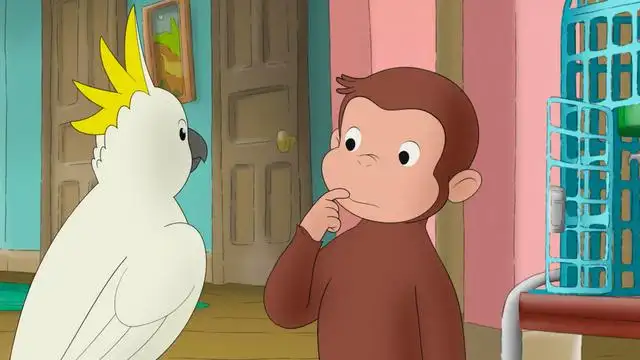 Cuckoo Cockatoo