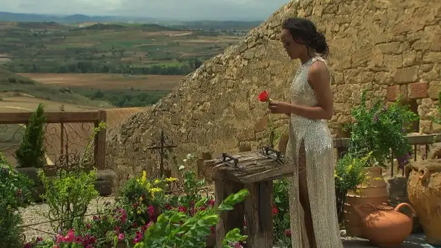The Final Rose