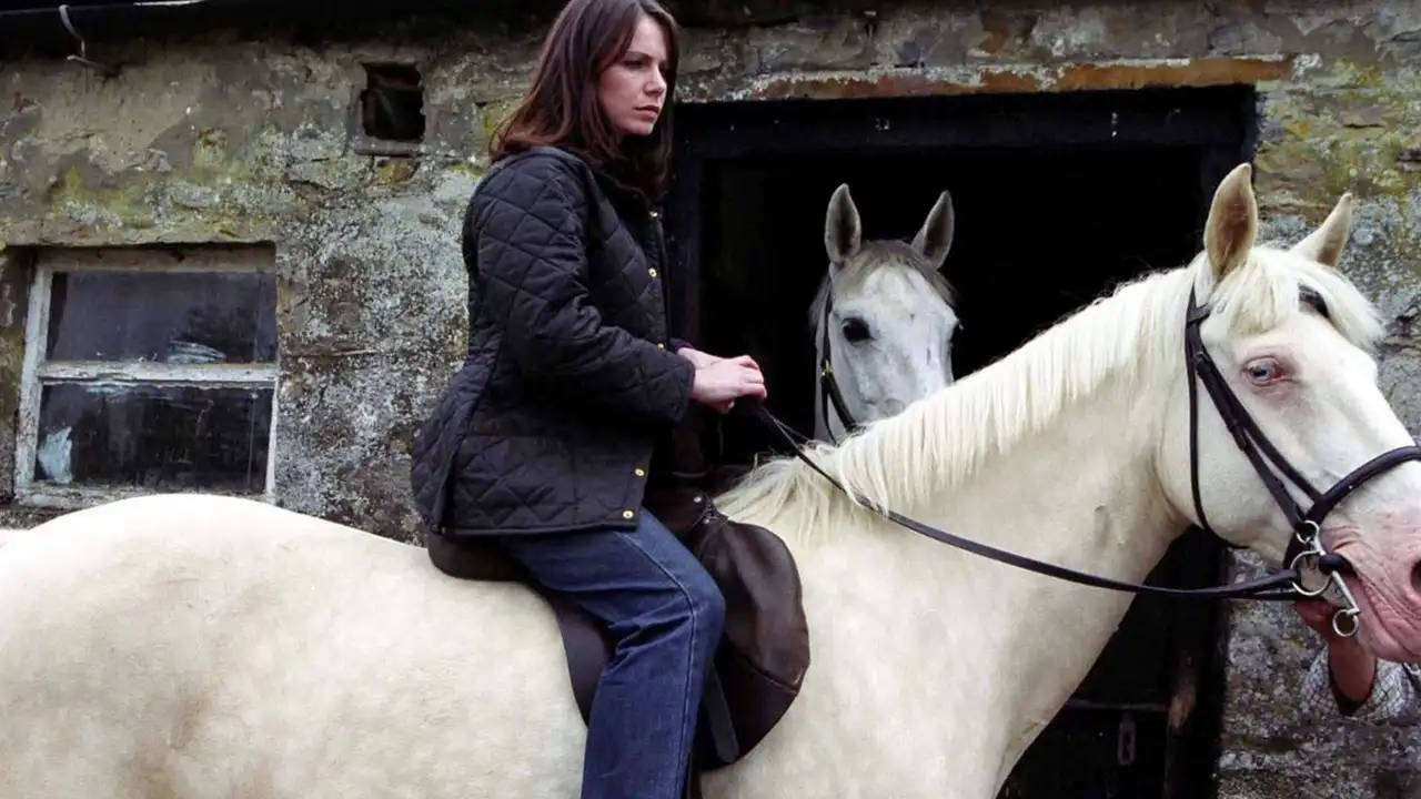 Horses for Courses