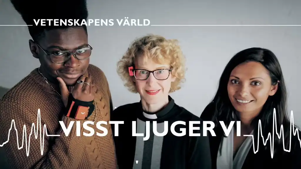 Visst ljuger vi