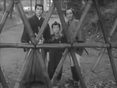 The Barrier Gate