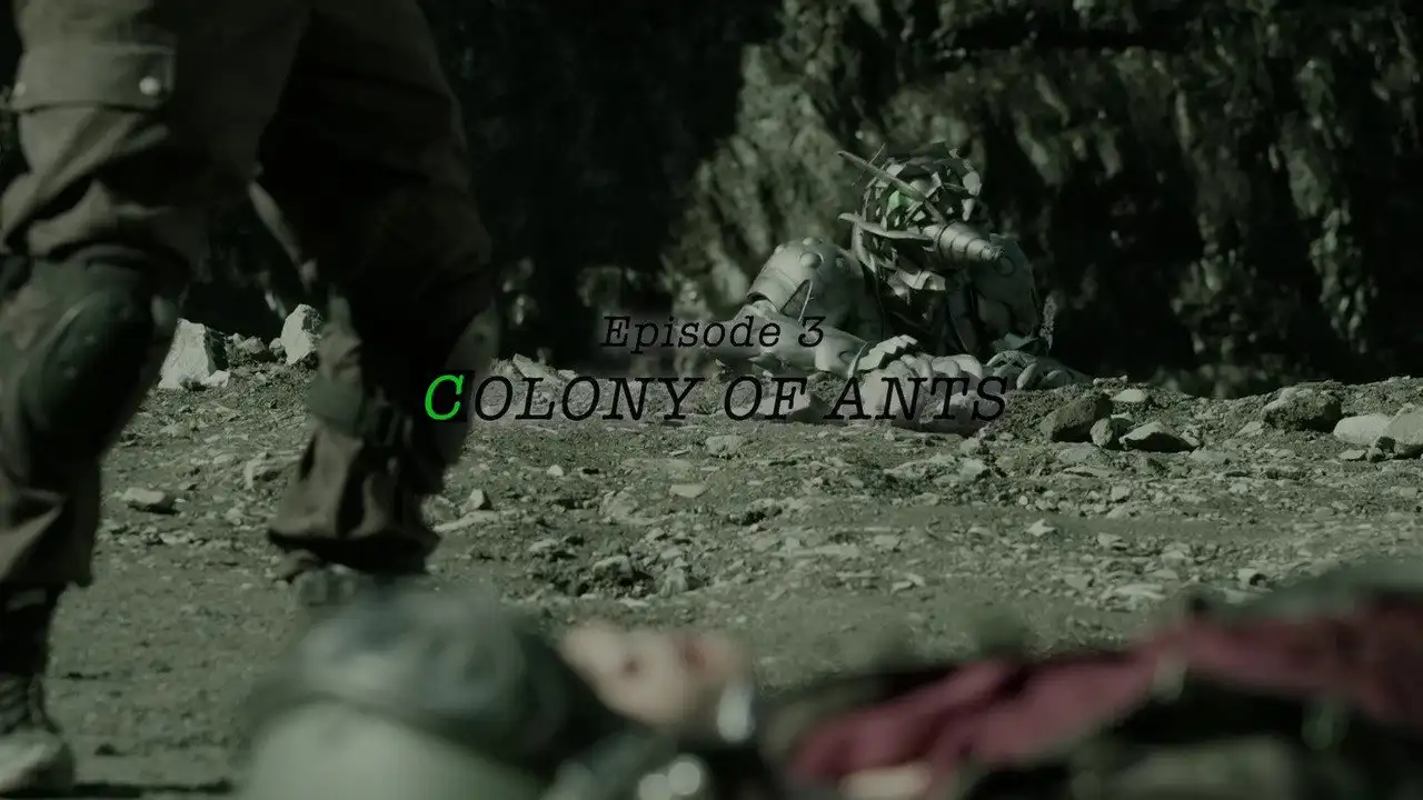 COLONY OF ANTS