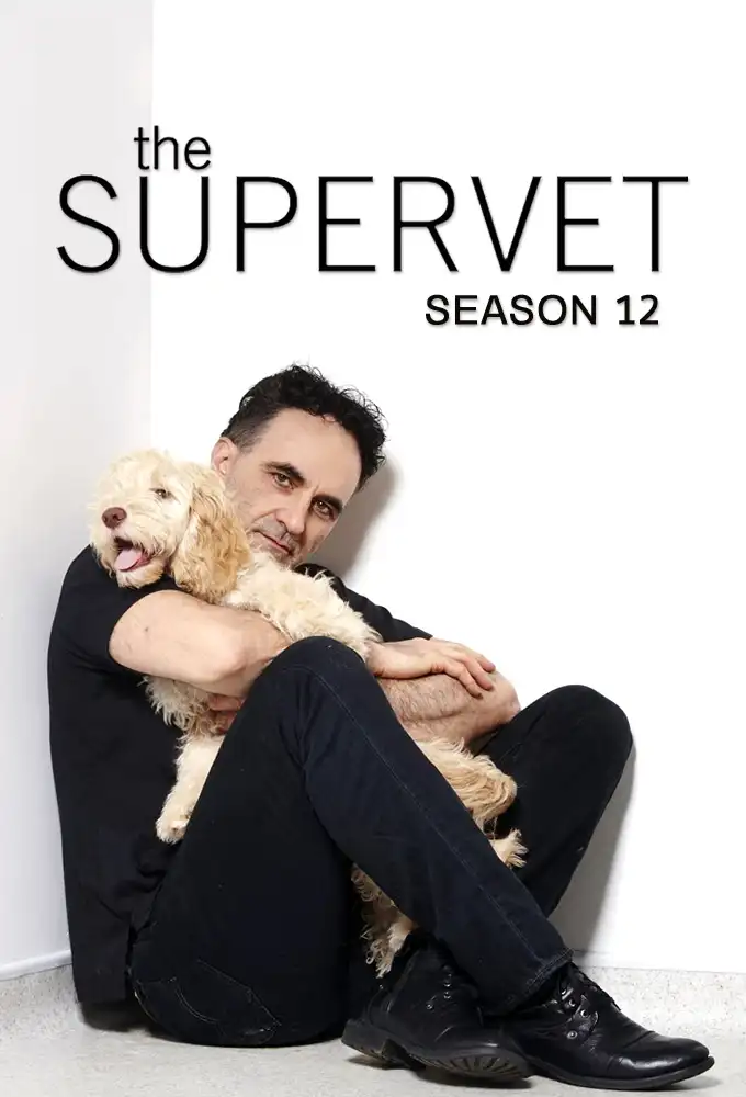 Season 12