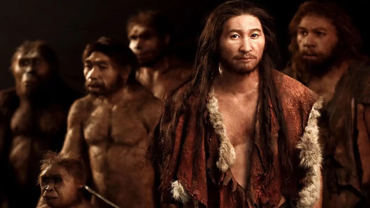 Homo Sapiens: the Revolution of Intelligence