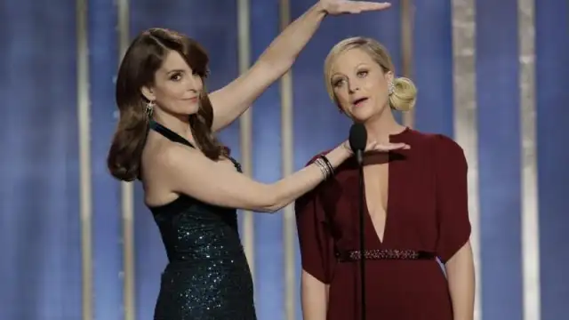 The 72nd Golden Globe Awards