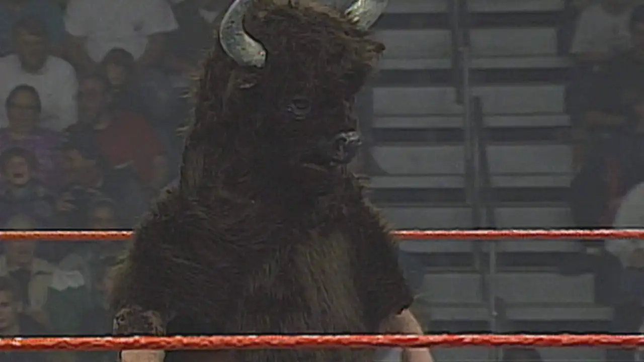 Superstars - Jan. 07, 1995