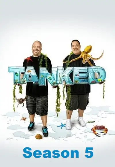 Season 5