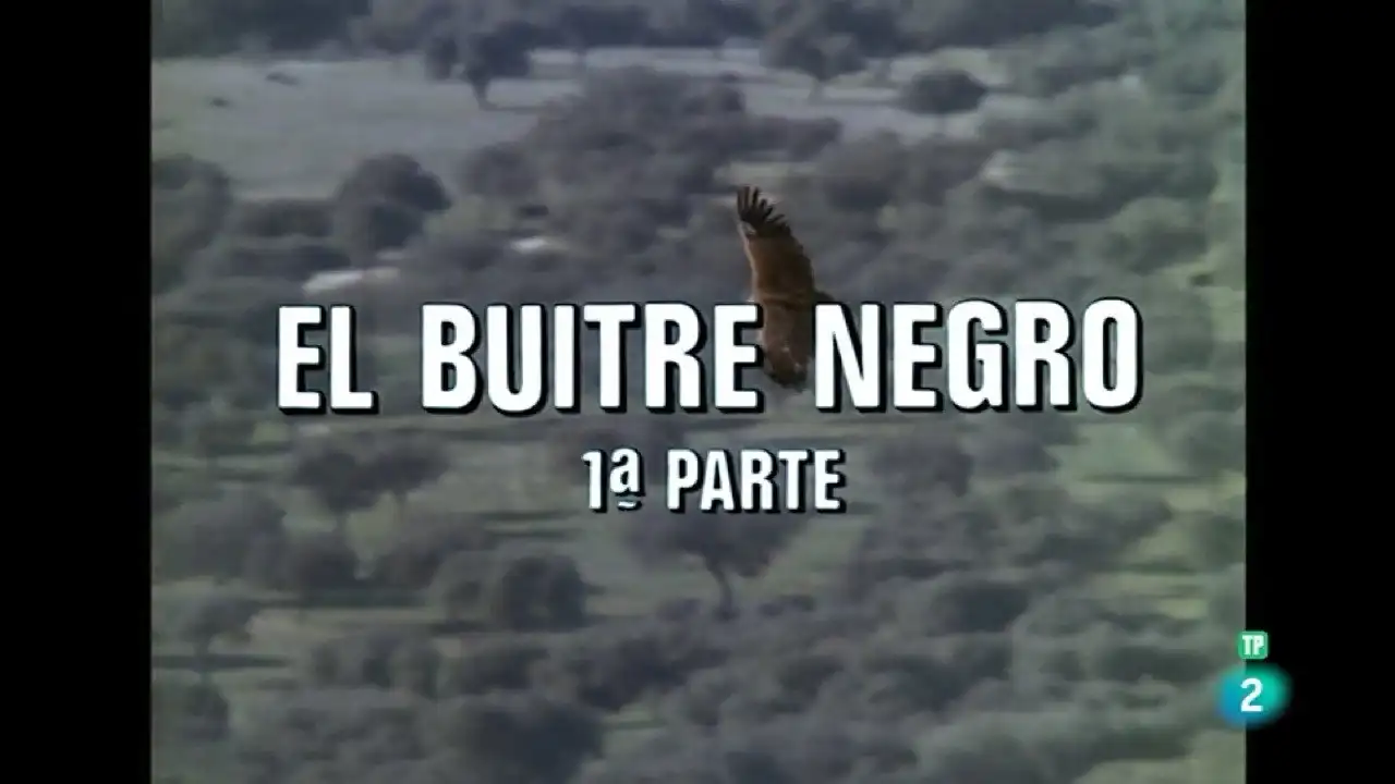 The Black Vulture I