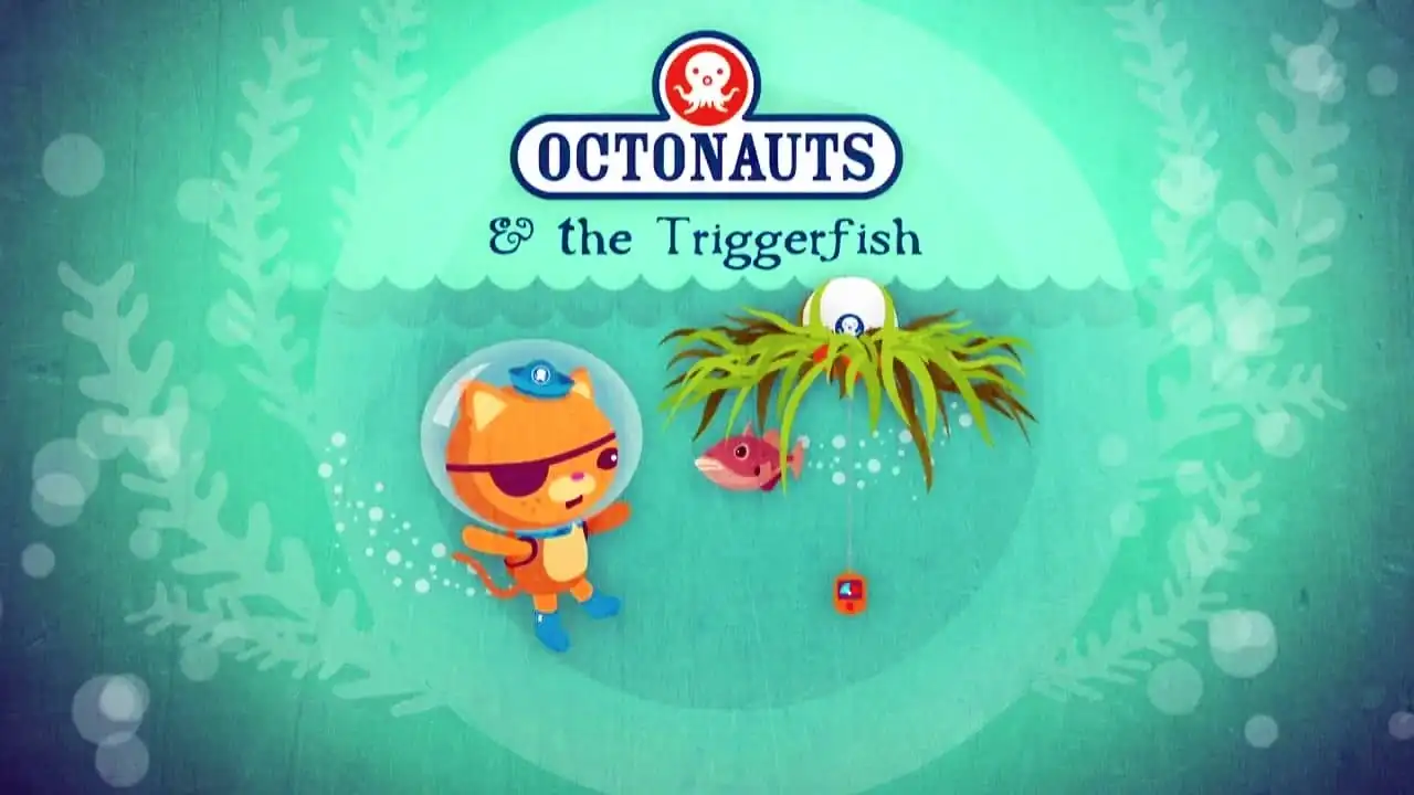 The Triggerfish