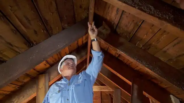 The Cape Ann House: Losing Our Truss