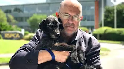 Trouble at the RSPCA