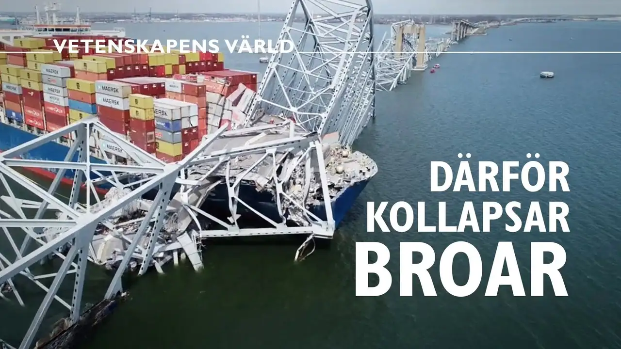 Why bridges collapse