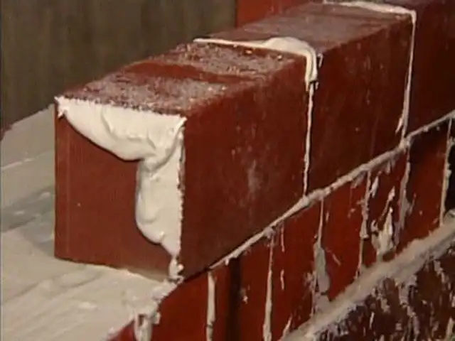 Bricks