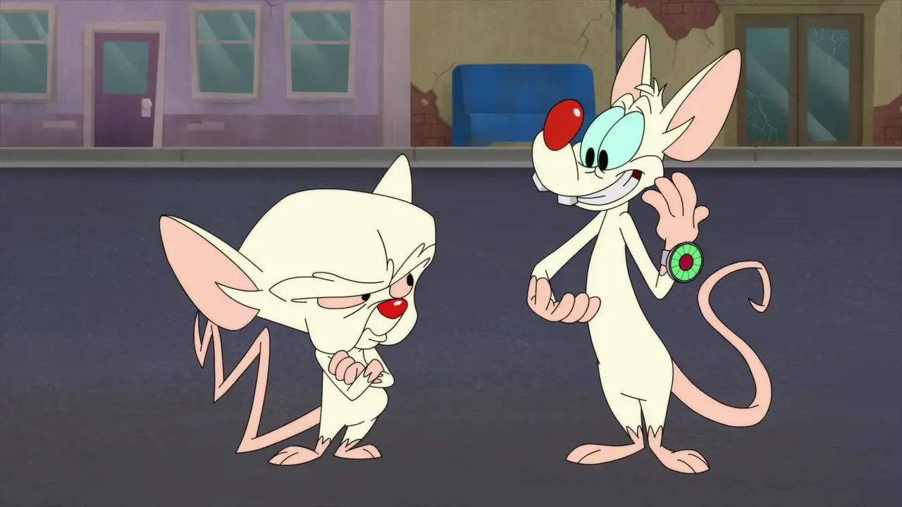 Run Pinky Run