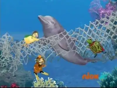 Save The Dolphin!