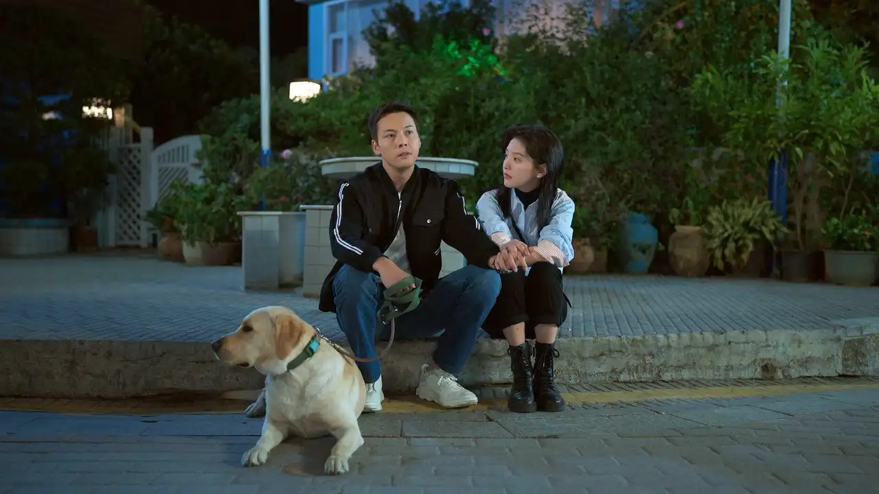 Xu Lai, Let's Be Together