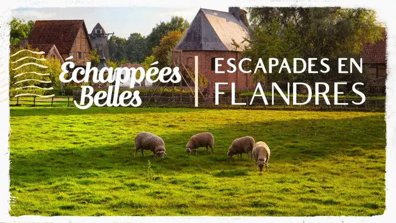 Escapades en Flandres