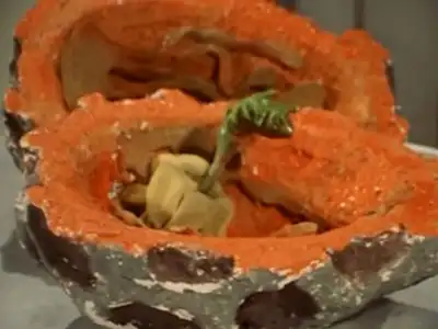 Gargoyle Vine, a Space Plant