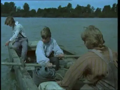 The Pirates