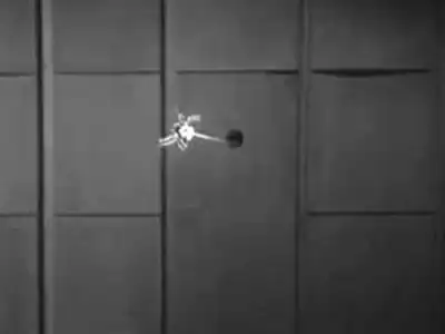 The Spider