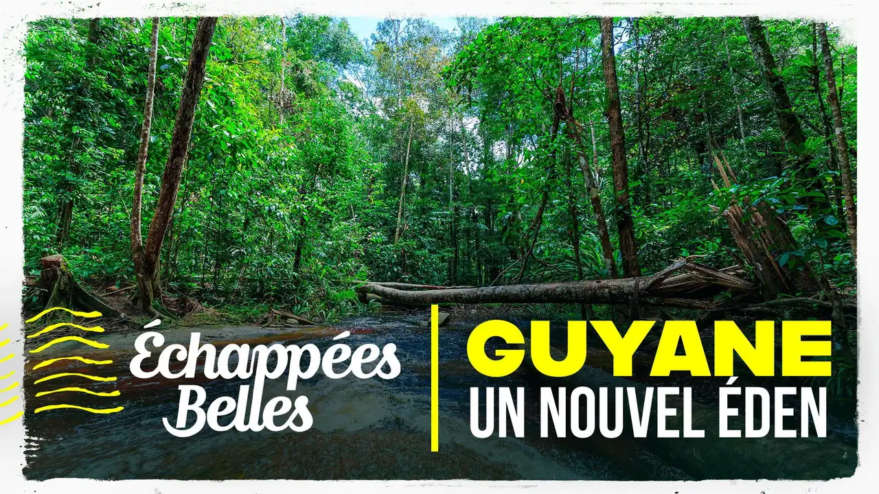 Guyane, un nouvel éden
