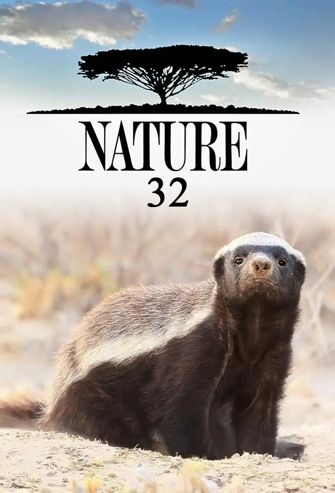 Season 32