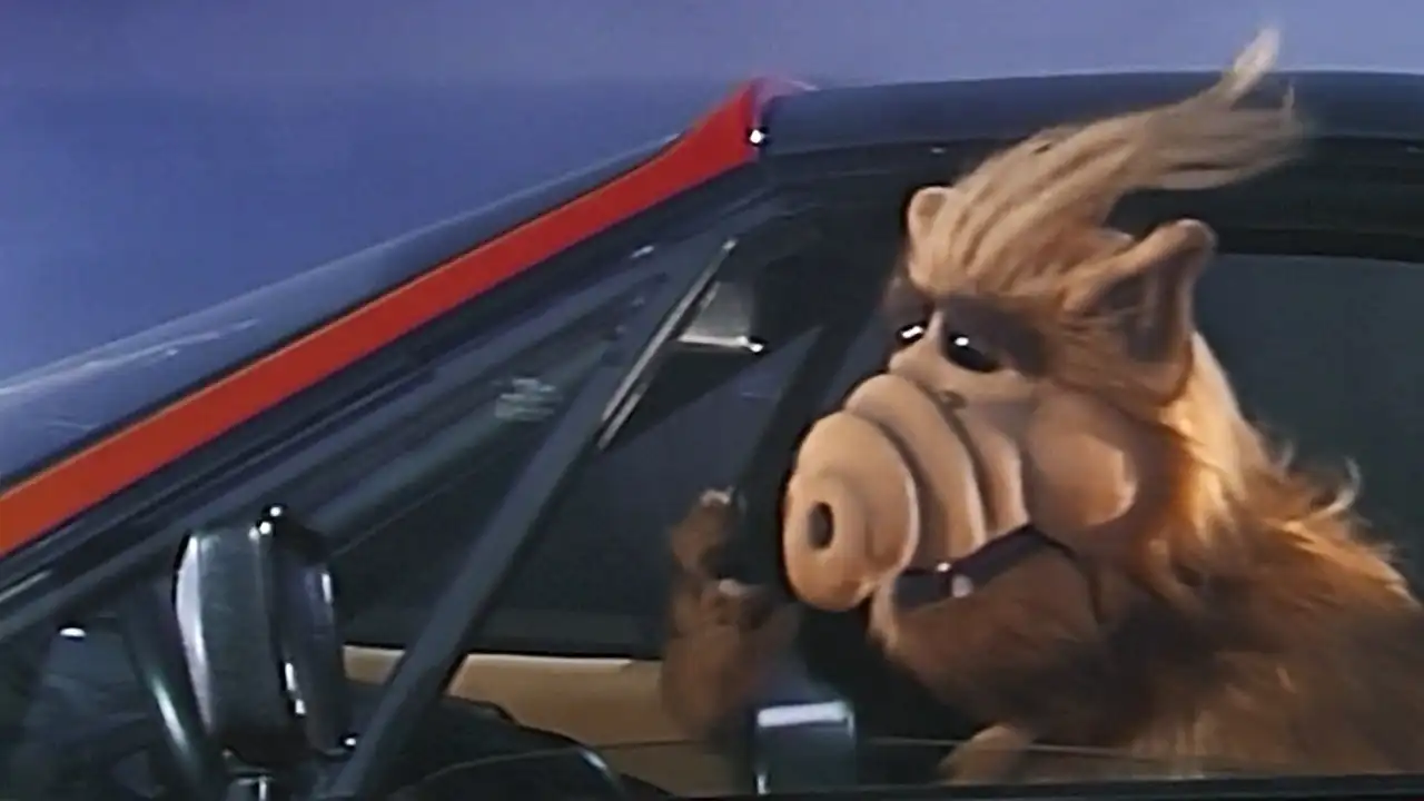 Baby, You Can Drive My Car