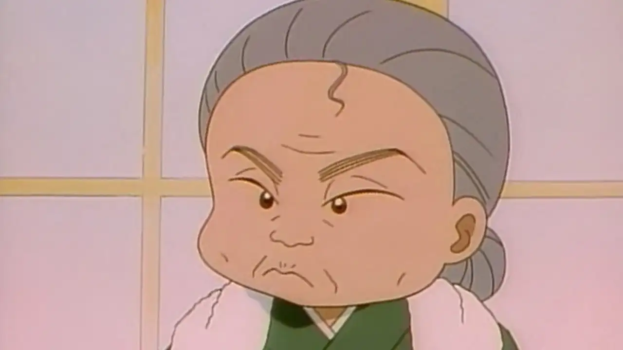 Super Grandma Came to Town!