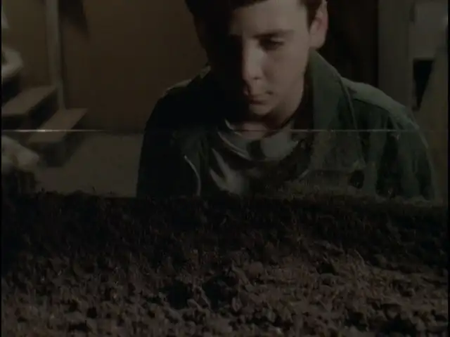 Go Eat Worms