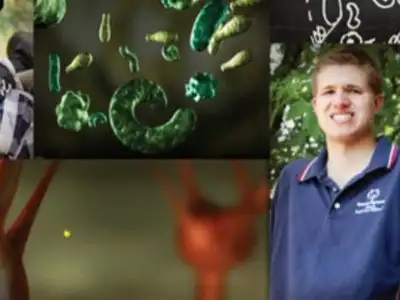 The Autism Enigma