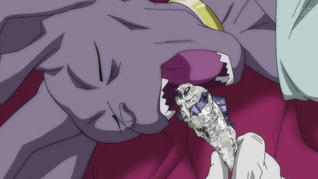 I'm Here, Too! Training Commences on Beerus' World