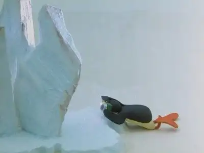Pingu and the Camera