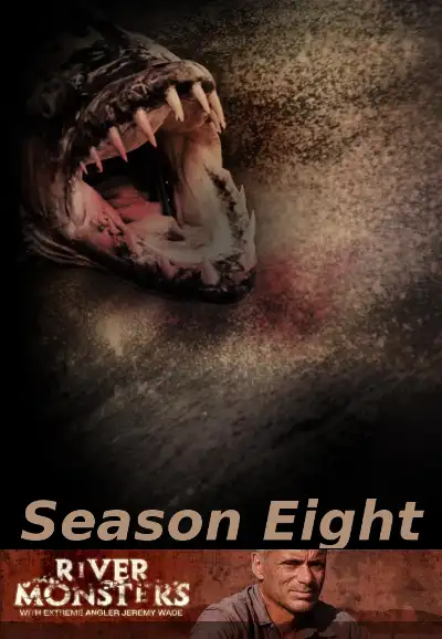 Season 8