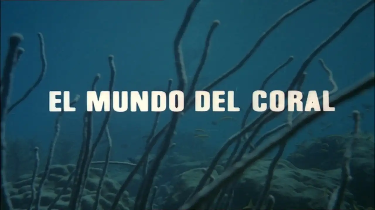 The World of Coral