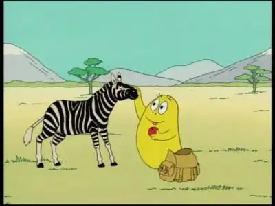 Savana - Lion and Zebra