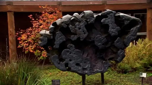 Cleveland’s Tumor, Man-Eating Lions, Meteorite