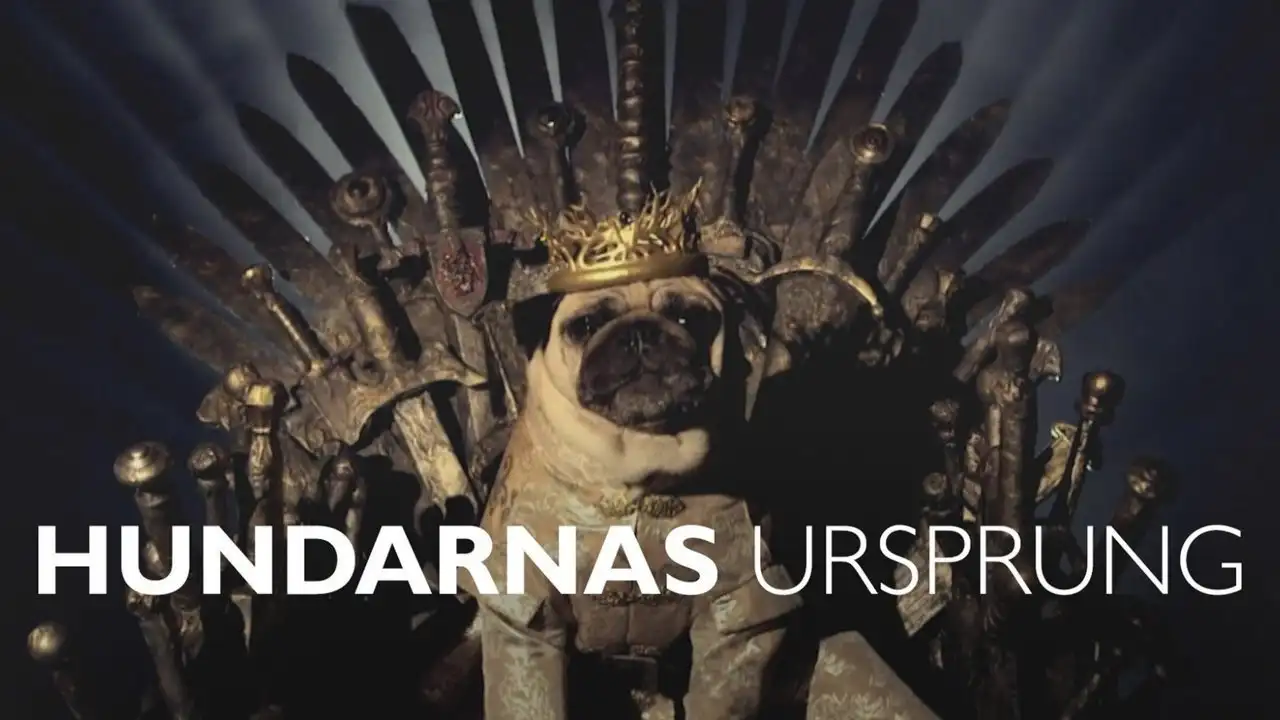 Hundarnas ursprung