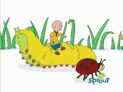 Caillou's Gym Day